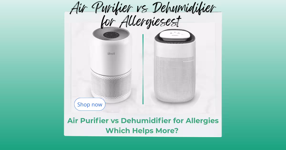 Air Purifier vs Dehumidifier for Allergies: Which Helps More?